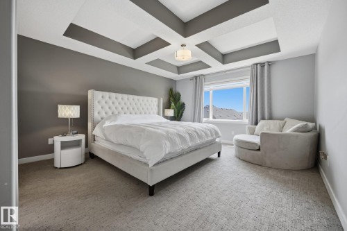 Recessed tray ceiling with contrasting accent panels - 3870 Robins Crescent Nw, Edmonton, AB - Indoor Photo Showing Bedroom