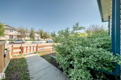 Manicured shrubbery framing a concrete walkway - 