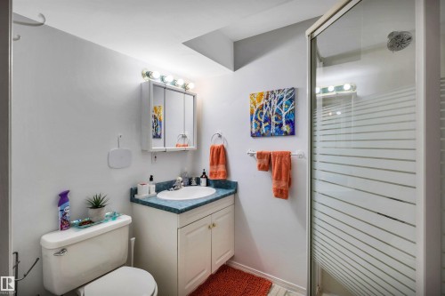 10282 87 Street Nw, Edmonton, AB - Indoor Photo Showing Bathroom