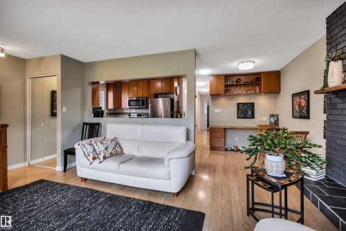 10282 87 Street Nw, Edmonton, AB - Indoor Photo Showing Living Room