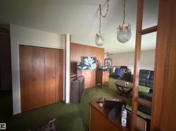 Interior space featuring green carpet, wood-paneled walls, and bi-fold closet doors - 