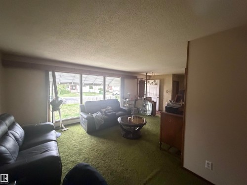 Living area featuring extensive window treatments, green carpeting, and a built-in wall partition - 13207 117 Street, Edmonton, AB 