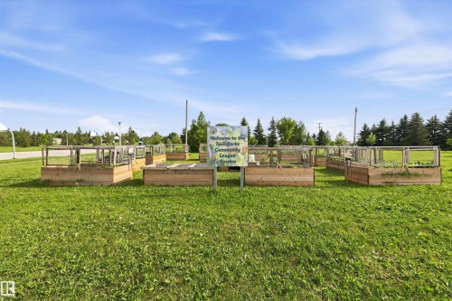 Expansive community garden featuring multiple raised wooden planter beds set within a broad grassy area - 46 Maple Terrace Northwest, Edmonton, AB - Outdoor
