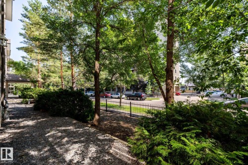 Manicured landscaping featuring mature trees and lush shrubs - #103 12838 65 St Nw Nw, Edmonton, AB - Outdoor