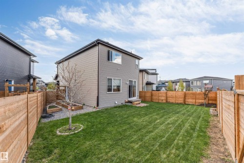 Expansive fenced backyard featuring a manicured lawn, established tree, and raised garden beds - 425 41 Street, Edmonton, AB - Outdoor