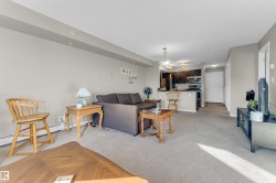 Open-concept living space featuring neutral carpet flooring and light gray walls - 