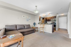 Open-concept living area featuring light neutral wall paint, overhead lighting, and carpet flooring - 