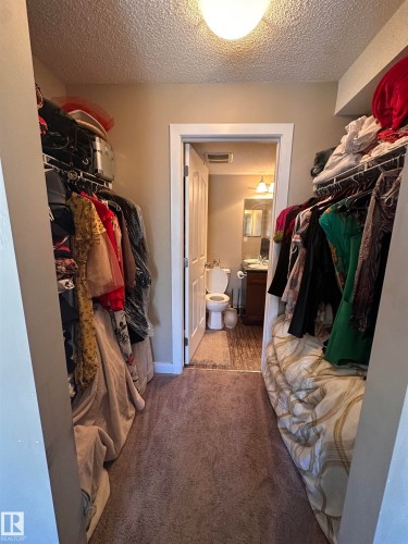 Walk-in closet featuring carpet flooring, built-in wire shelving, and an overhead flush-mount light fixture - #419 11808 22 Av Sw, Edmonton, AB - Indoor With Storage