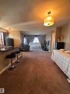 Open-concept living space featuring brown carpet flooring - 