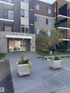 #419 11808 22 AV SW  Edmonton, AB T6W 2A2