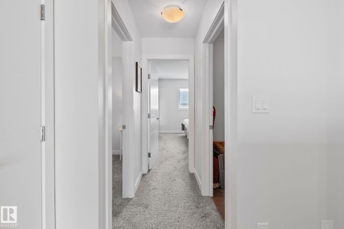 Carpeted hallway featuring white walls, white trim, and white interior doors - 249 39A Avenue, Edmonton, AB - Indoor Photo Showing Other Room