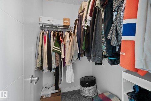 Walk-in closet featuring built-in wire shelving, hanging rods, and light gray carpet flooring - 249 39A Avenue, Edmonton, AB - Indoor With Storage