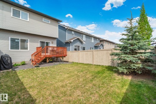 Expansive backyard featuring a manicured lawn, a wooden privacy fence, and mature evergreen landscaping - 249 39A Avenue, Edmonton, AB - Outdoor