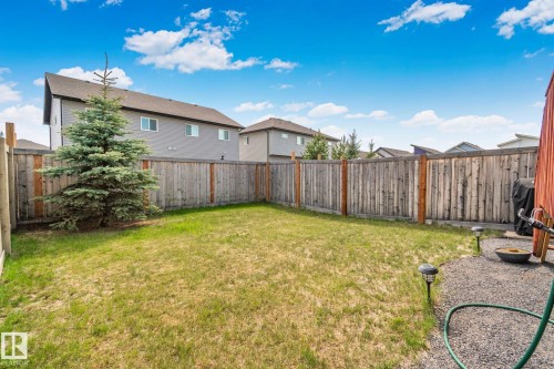 Expansive backyard featuring a manicured lawn, a mature evergreen tree, and a full perimeter wood fence - 249 39A Avenue, Edmonton, AB - Outdoor
