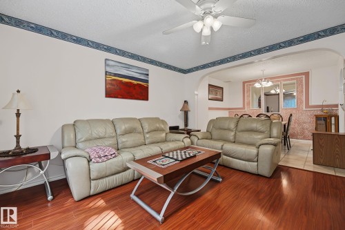 895 Erin Place Nw, Edmonton, AB - Indoor Photo Showing Living Room