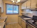 360 Northgate Terrace Nw, Edmonton, AB  - Indoor Photo Showing Kitchen 
