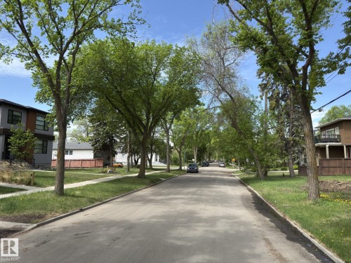 Tree-lined street with mature foliage and well-maintained grassy boulevards - 11342 79 Avenue Nw, Edmonton, AB - Outdoor