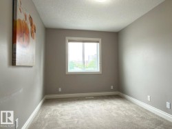 Carpeted room with a double-paned window, neutral wall tones, and white trim - 
