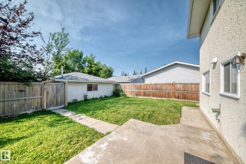 Expansive grassy yard area with a concrete patio and walkway - 1928 68 Street Nw, Edmonton, AB - Outdoor