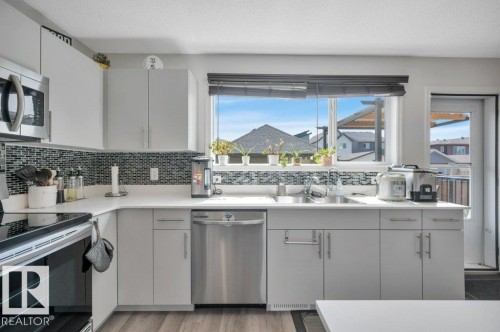 South-facing window over the sink - 19303 27 Avenue Nw, Edmonton, AB - Indoor Photo Showing Kitchen With Double Sink
