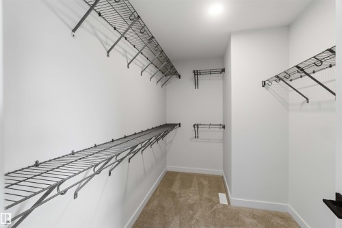 Walk-in closet featuring wire shelving and hanging rods, white walls, and carpet flooring - 5872 Raven Crescent Nw, Edmonton, AB - Indoor