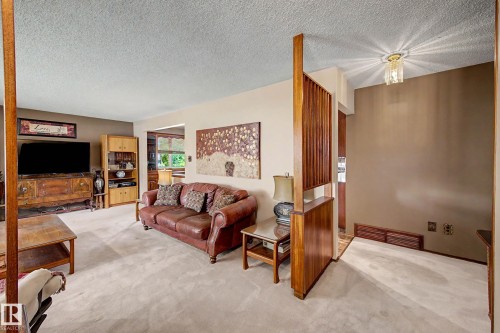 6115 152A Avenue Nw, Edmonton, AB - Indoor Photo Showing Living Room
