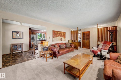 6115 152A Avenue Nw, Edmonton, AB - Indoor Photo Showing Living Room