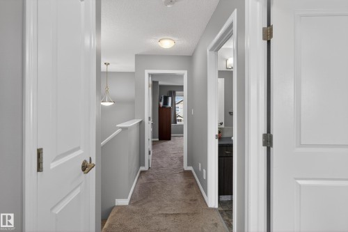 Neutral gray walls with white trim throughout - 9847 220 Street Nw, Edmonton, AB - Indoor Photo Showing Other Room