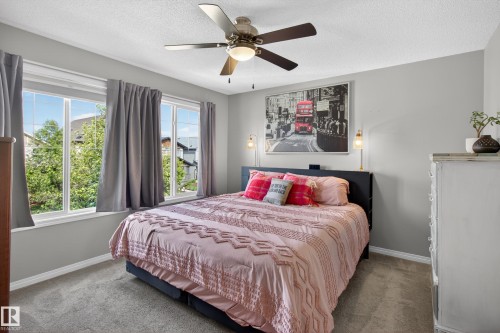 Spacious room with grey wall paint and white baseboards - 9847 220 Street Nw, Edmonton, AB - Indoor Photo Showing Bedroom