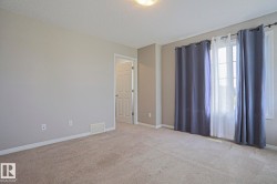 Neutral-toned walls complement plush carpeting - 