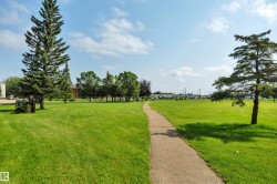 Expansive green space featuring a concrete pathway, mature evergreen trees, and distant residential structures - 