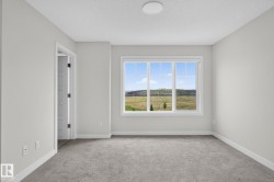 Bright room featuring a large multi-pane window, neutral gray walls, gray carpeting, and a white ceiling-mounted light fixture - 