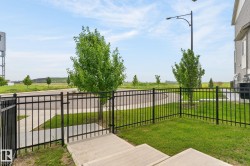 Private fenced lawn area featuring concrete steps, a black metal fence, and a young tree - 