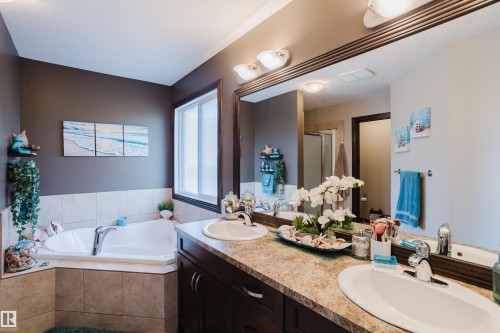 9729 159 Street Nw, Edmonton, AB - Indoor Photo Showing Bathroom