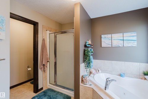 9729 159 Street Nw, Edmonton, AB - Indoor Photo Showing Bathroom