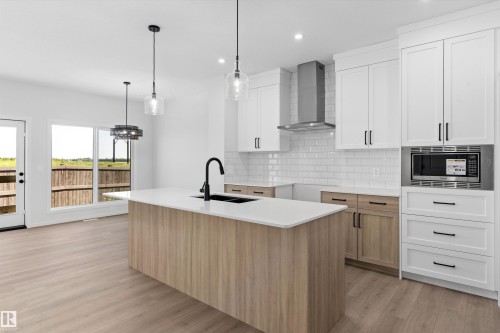 18808 29 Avenue Nw, Edmonton, AB - Indoor Photo Showing Kitchen With Upgraded Kitchen