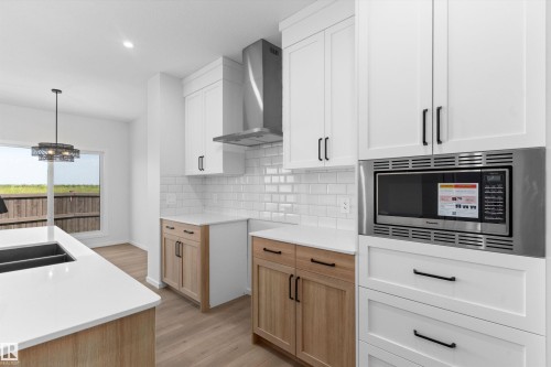 18808 29 Avenue Nw, Edmonton, AB - Indoor Photo Showing Kitchen With Double Sink