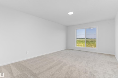 18808 29 Avenue Nw, Edmonton, AB - Indoor Photo Showing Other Room