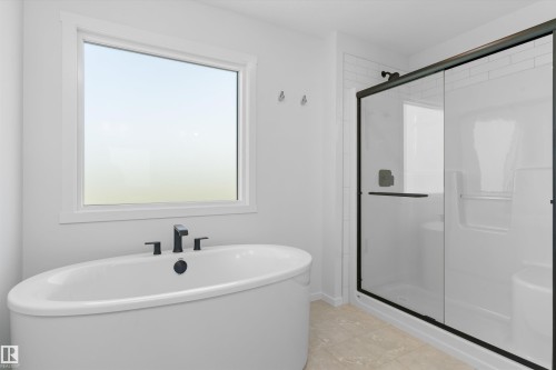 18808 29 Avenue Nw, Edmonton, AB - Indoor Photo Showing Bathroom