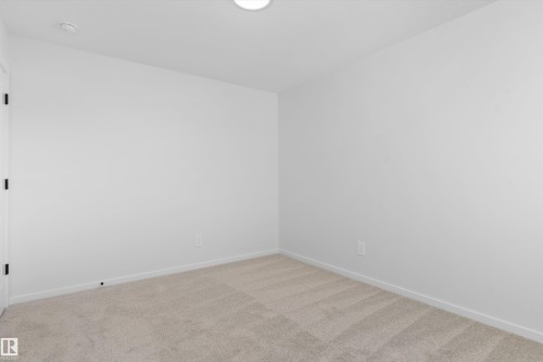 18808 29 Avenue Nw, Edmonton, AB - Indoor Photo Showing Other Room