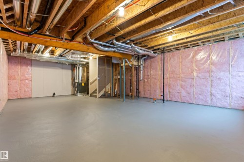18808 29 Avenue Nw, Edmonton, AB - Indoor Photo Showing Basement