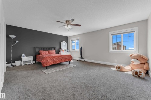 Spacious room featuring gray carpeting, a dark accent wall, and two large windows with white trim - 4506 49 Avenue, Beaumont, AB - Indoor Photo Showing Bedroom