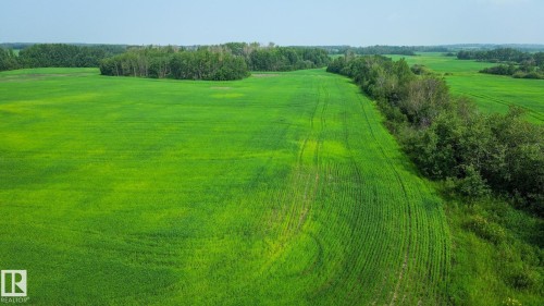 Expansive green field with textured rows, bordered by a line of mature trees - Sw-28-56-10 -W4, Rural St. Paul County, AB 