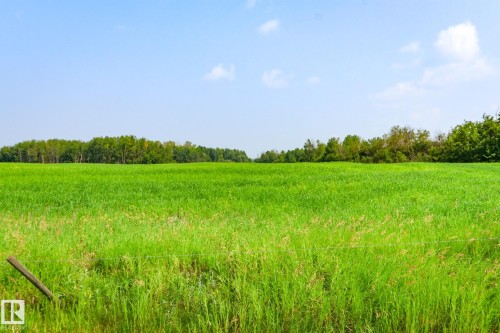 Expansive green field with natural vegetation extending to a distant tree line - Sw-28-56-10 -W4, Rural St. Paul County, AB 