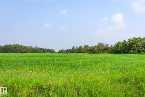 Expansive green field with natural tree line - Sw-28-56-10 -W4, Rural St. Paul County, AB 