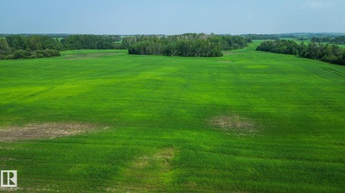 Expansive green field surrounded by mature tree lines under a clear sky - Sw-28-56-10 -W4, Rural St. Paul County, AB 