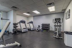 Dedicated fitness space featuring a rubber flooring system, suspended ceiling with integrated lighting, and neutral wall tones - 