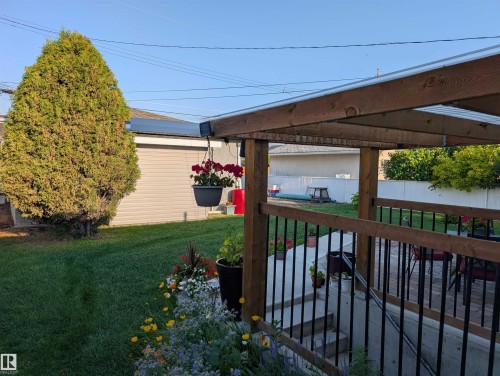 Covered outdoor patio area featuring a slatted wood ceiling, wood railings, and black metal balusters - 13216 117 Street Nw, Edmonton, AB - Outdoor