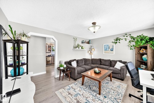 9911 163 Street Nw, Edmonton, AB - Indoor Photo Showing Living Room