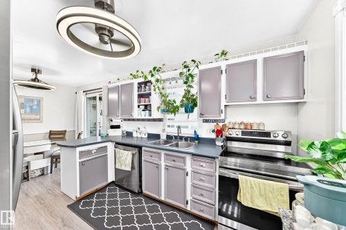 9911 163 Street Nw, Edmonton, AB - Indoor Photo Showing Kitchen With Double Sink